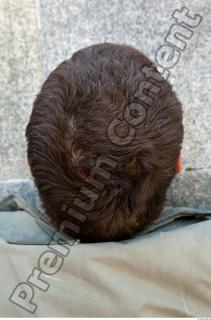 Head texture of street references 345 0003